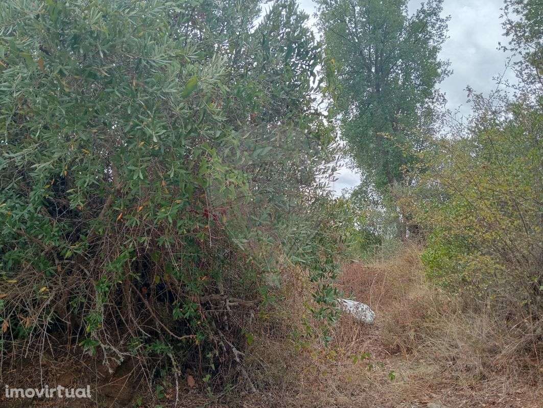 Terreno  para venda - Grande imagem: 3/3