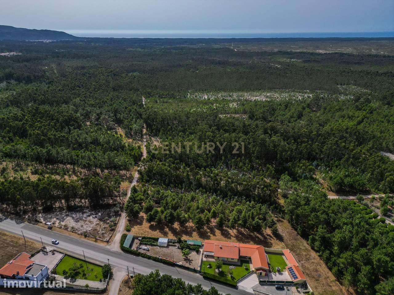 Terreno com cerca de 3.300 m² em zona de pinhal, em Casal Novo, Quiaio - Grande imagem: 5/12