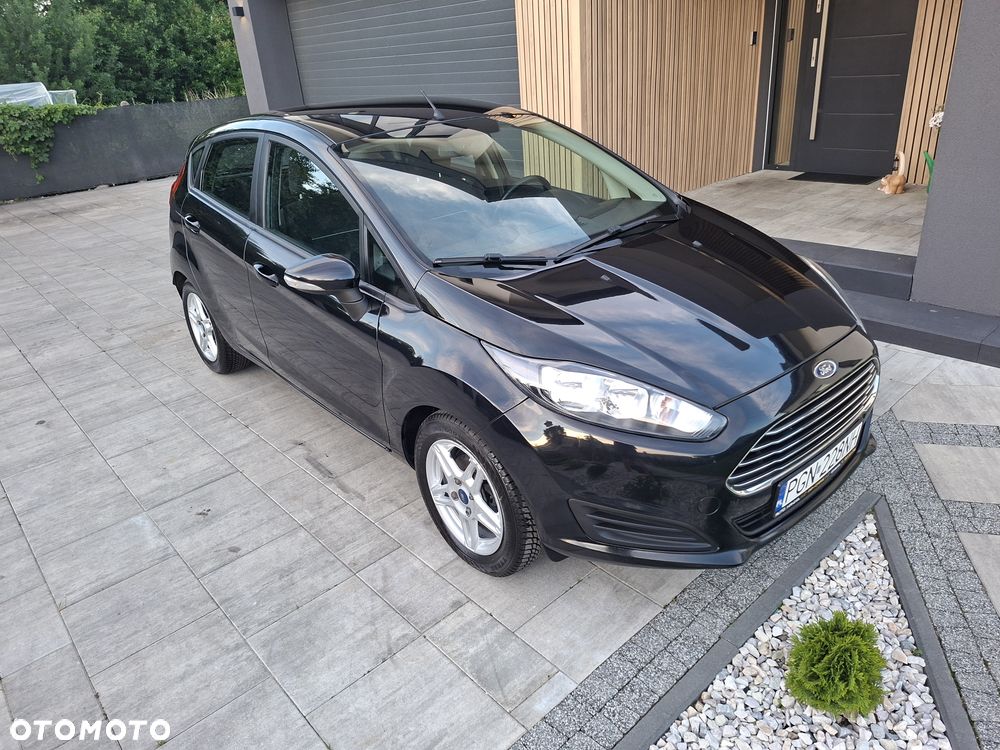Ford Fiesta - 14