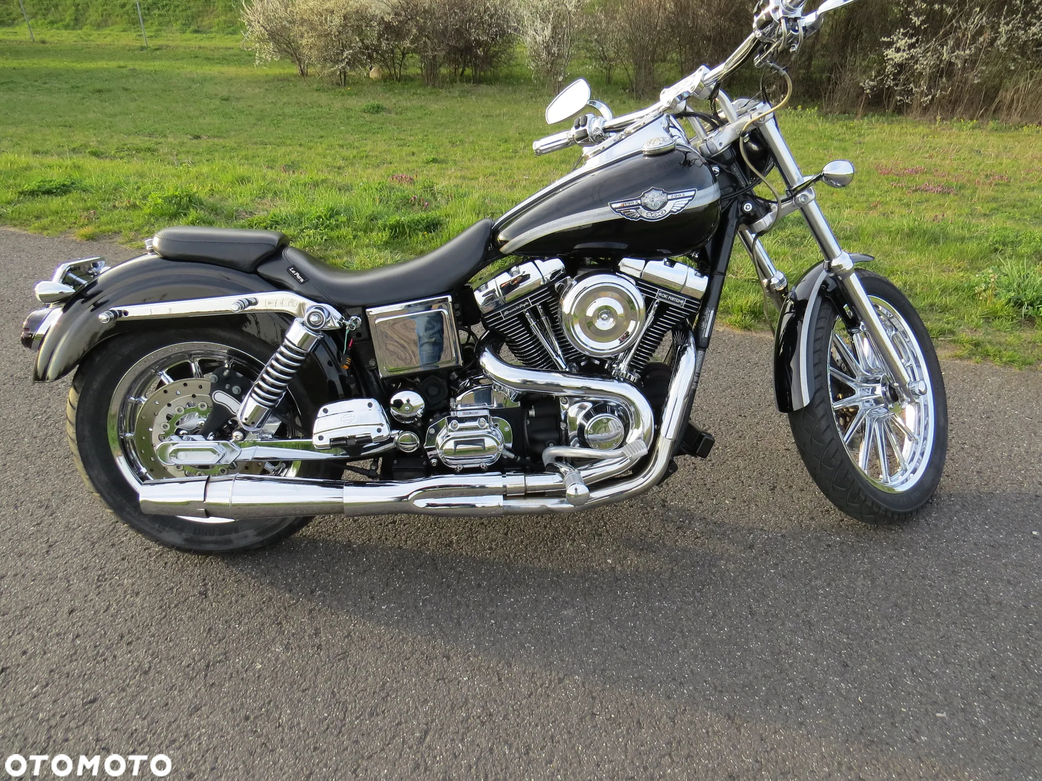 Harley-Davidson Dyna Low Rider - 7