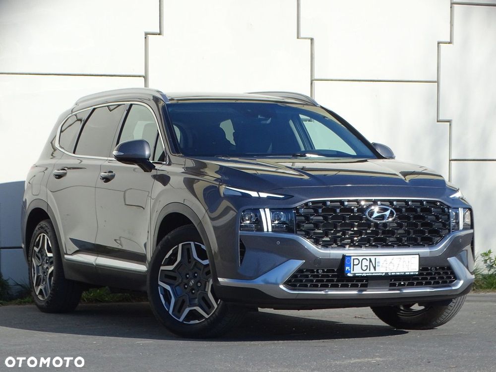 Hyundai Santa Fe - 14