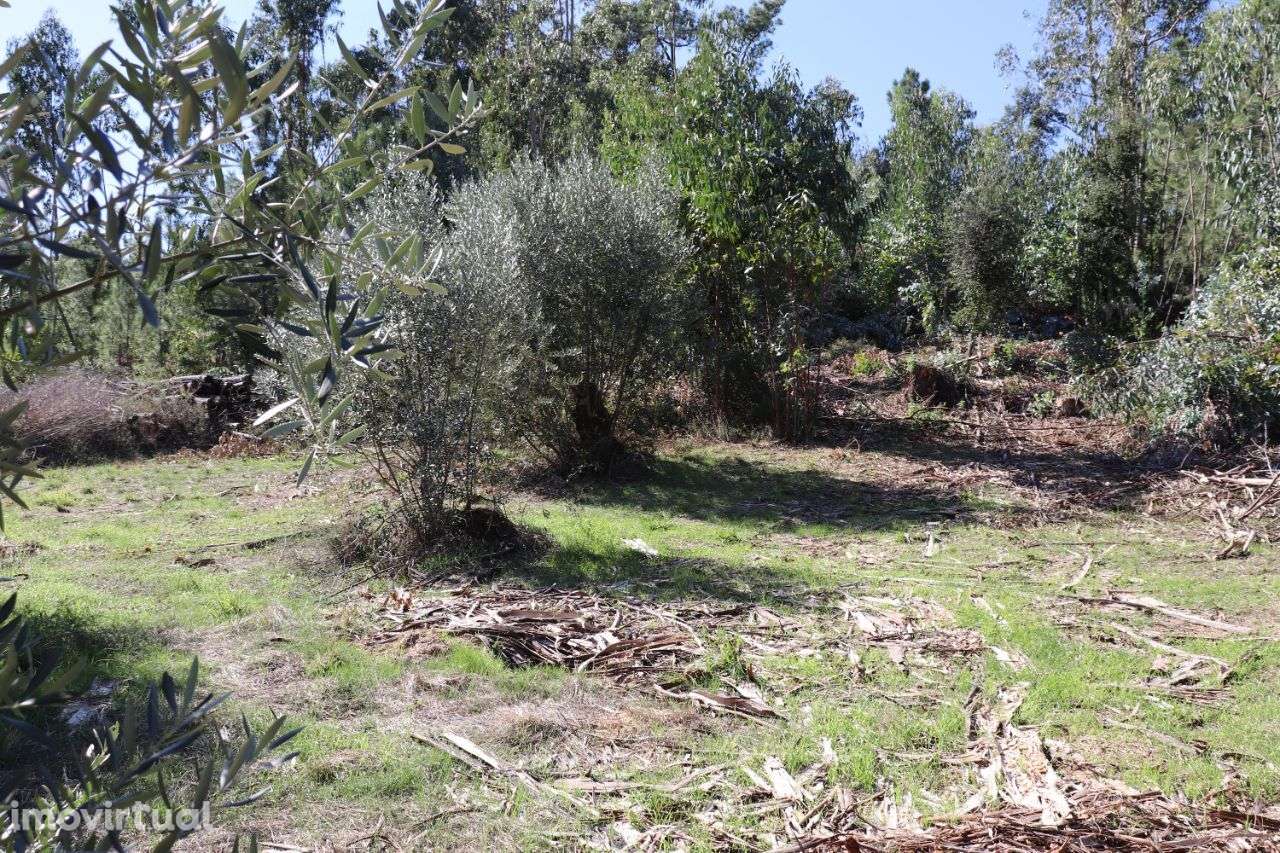 Lote para construção - Grande imagem: 2/3