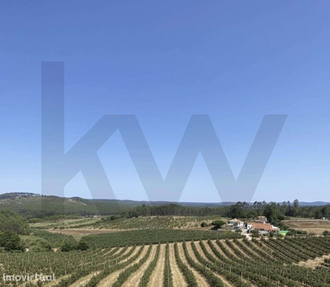 INVESTIMENTO ESTRATÉGICO NA NAZARÉ – QUINTA DOS VALES, VALADO DOS FRAD - Grande imagem: 4/34