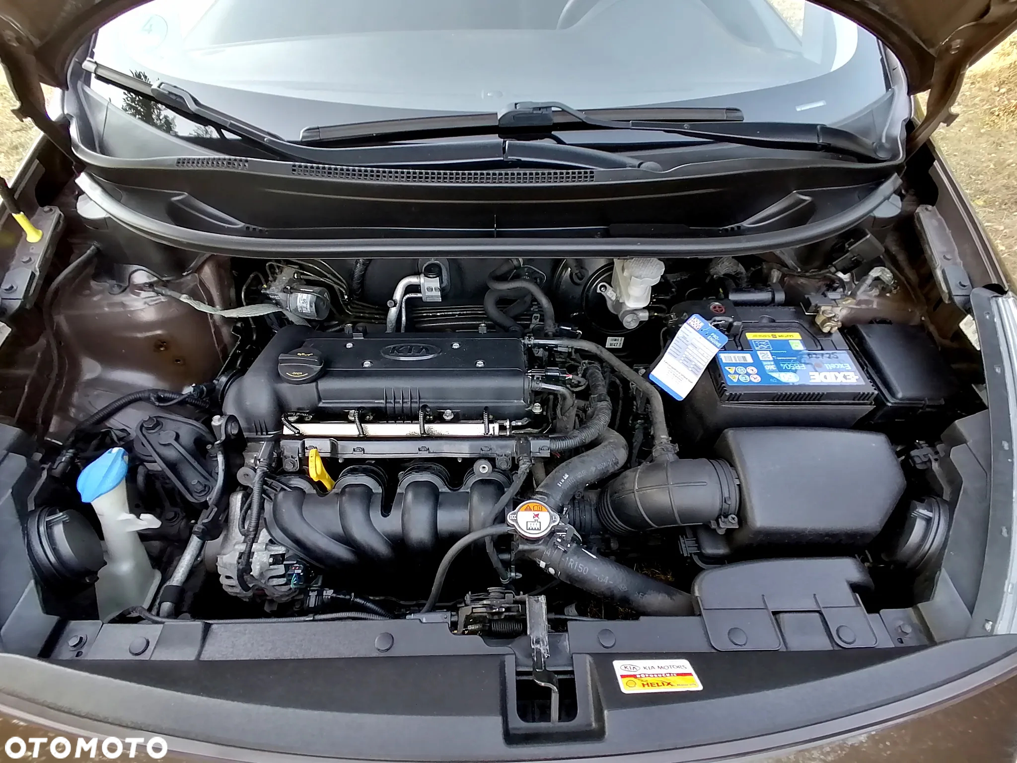 Kia Rio 1.4 Dream Team Edition - 7