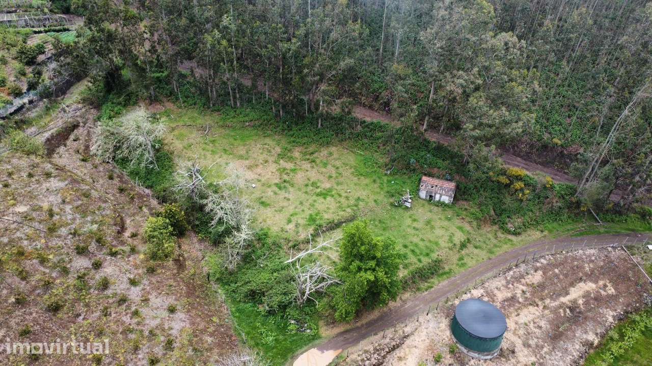 Oportunidade Exclusiva na Madeira – Terreno com 3.796 m² nos Canhas, P - Grande imagem: 4/7