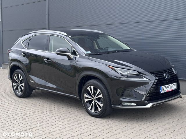 Lexus NX 300h F Impression AWD - 2