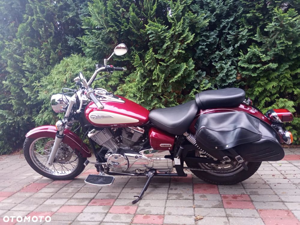 Yamaha Drag Star - 3