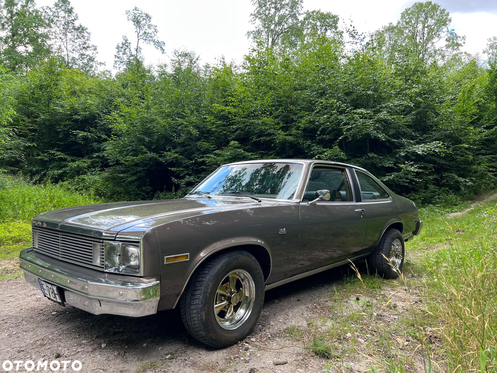 Chevrolet Nova - 12