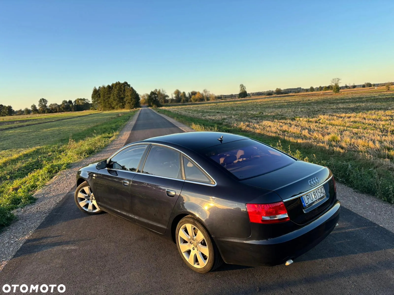 Audi A6 - 8