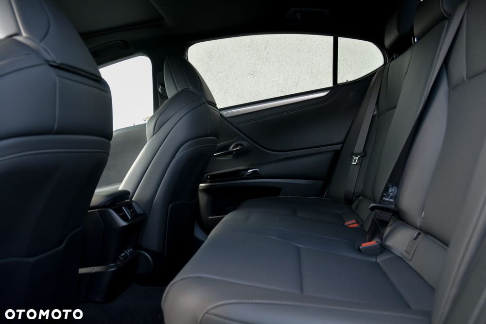 Lexus ES 300h F Sport Edition - 10