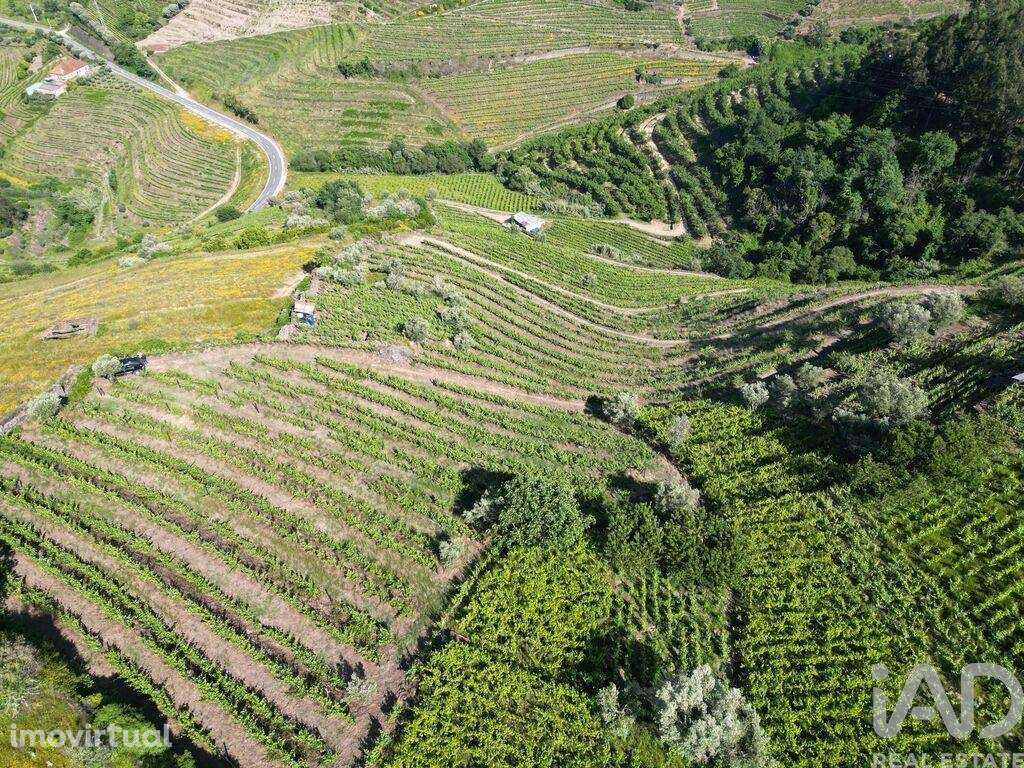 Terreno Agrícola em Samodães de 32187,00 m2 - Grande imagem: 5/9