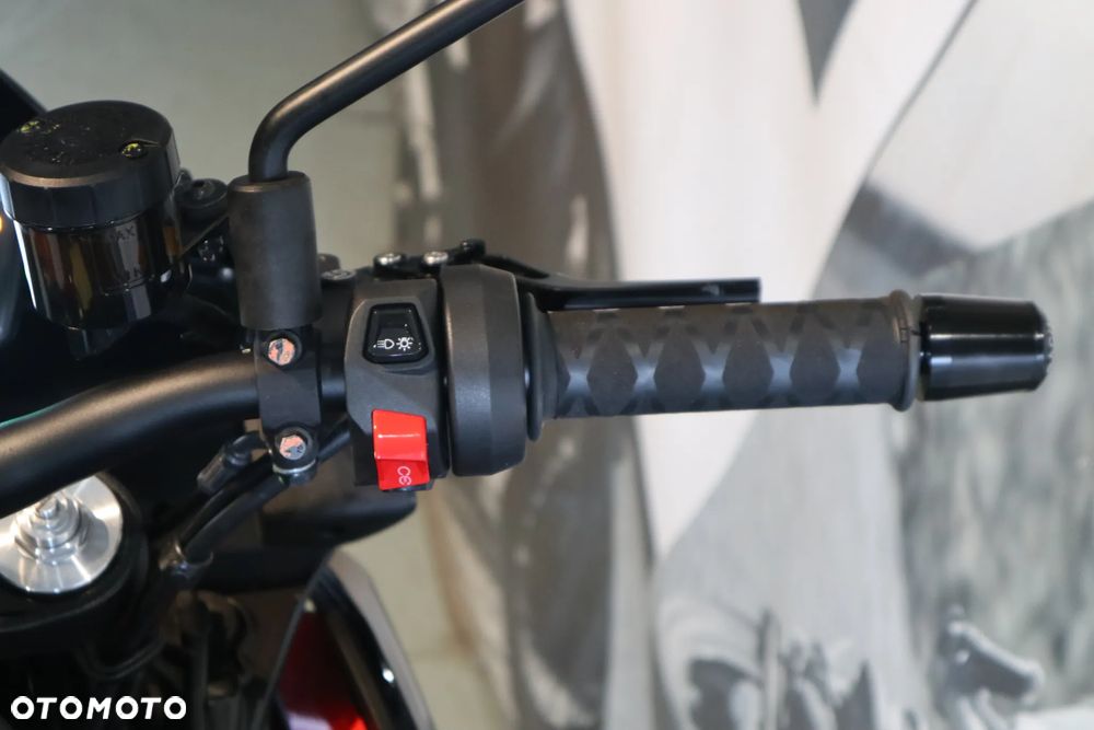 Aprilia Tuono - 14