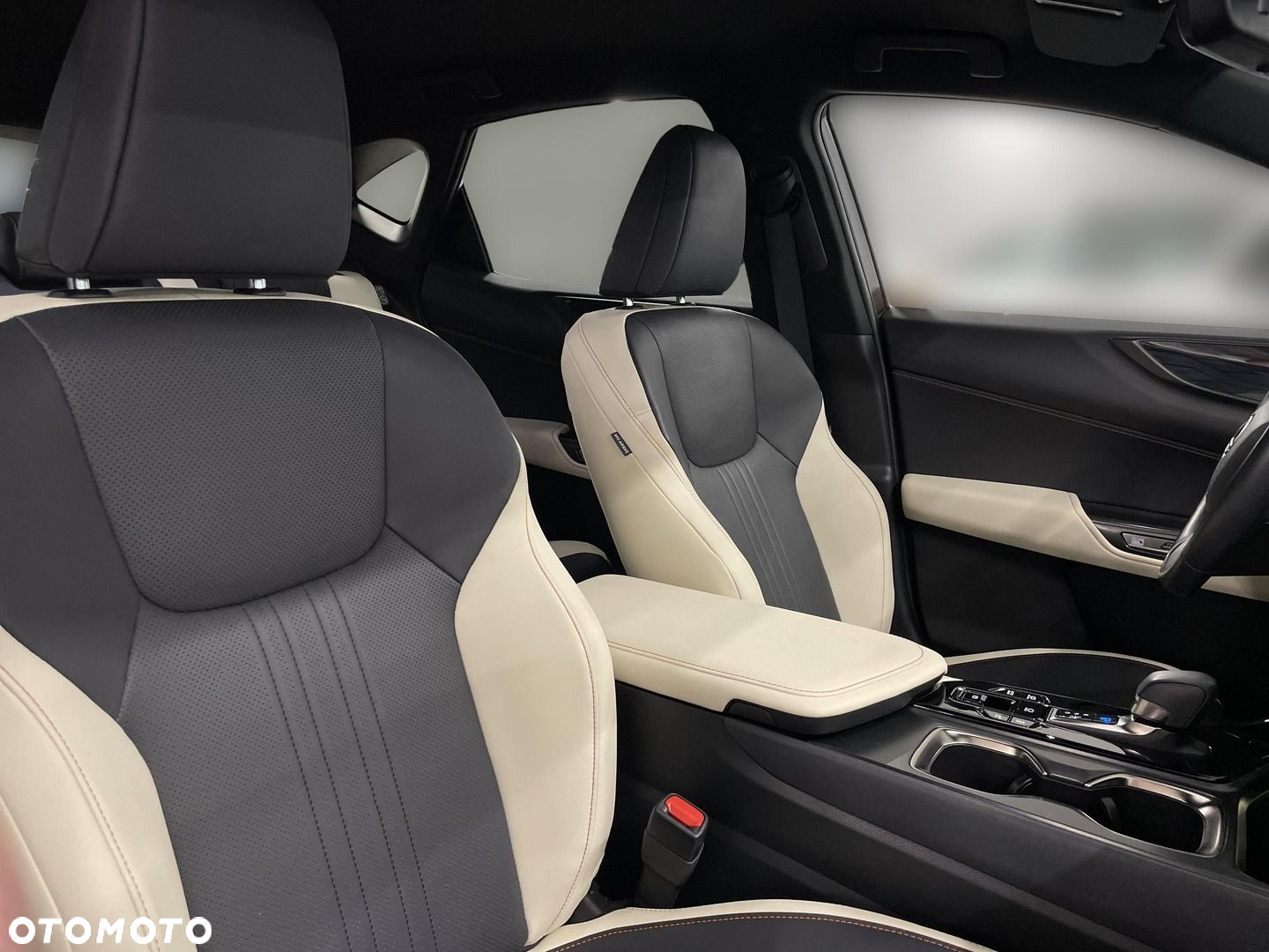 Lexus NX - 13