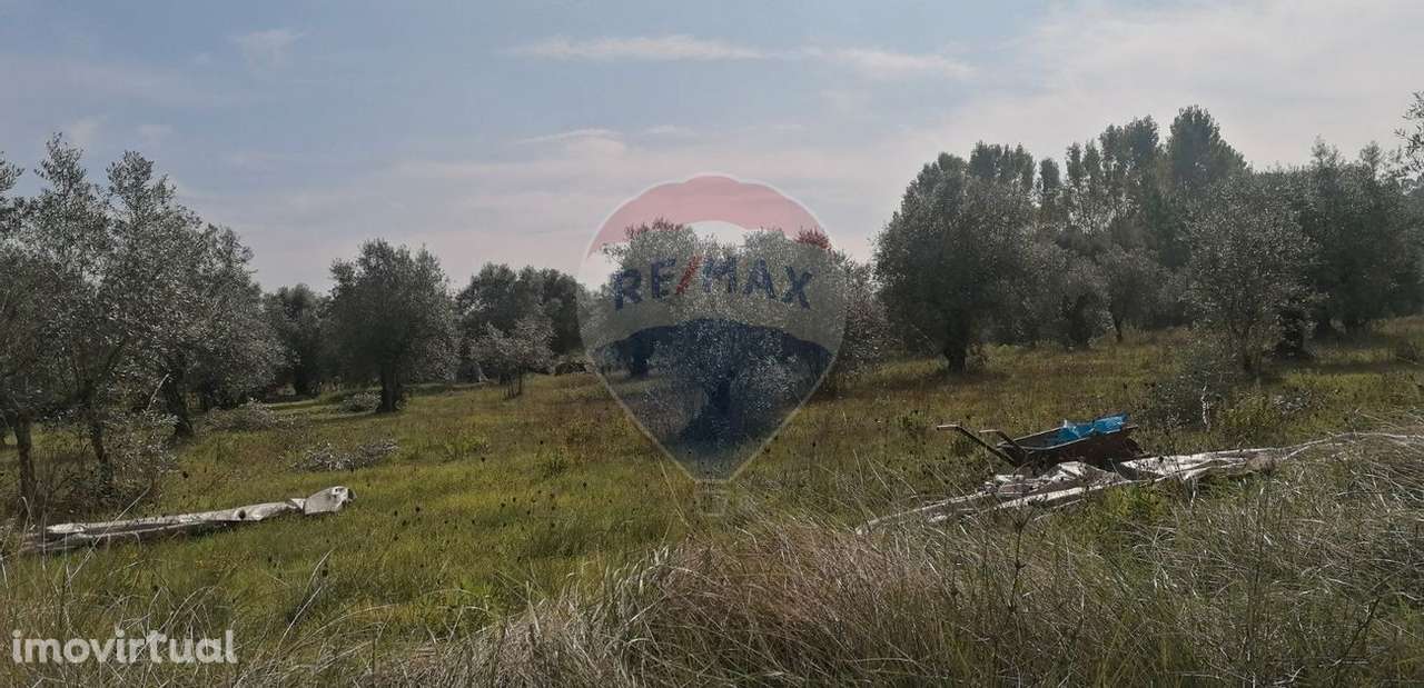 Terreno  para venda - Grande imagem: 3/10