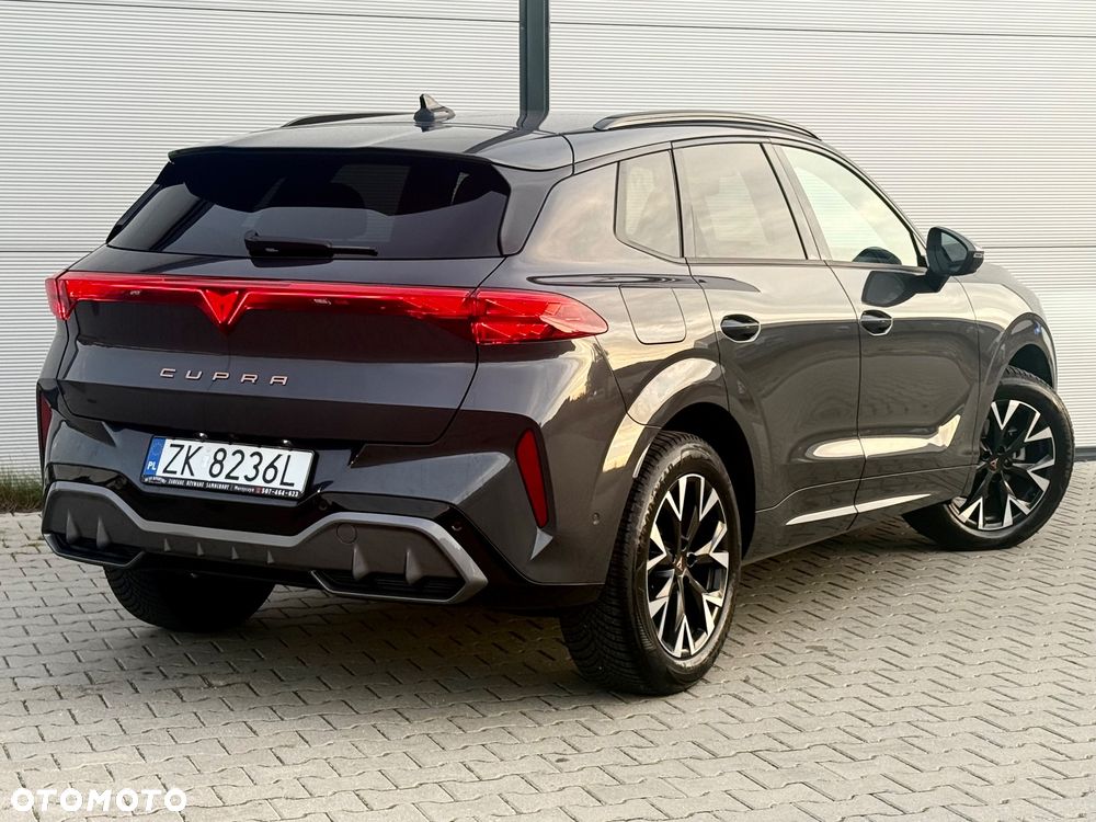 Cupra Terramar 1.5 eTSI DSG Tribe Edition - 14