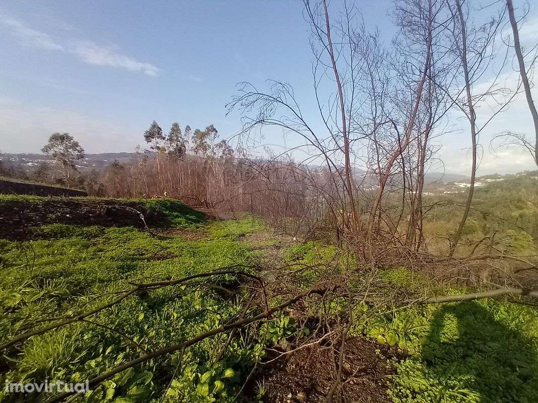 Terreno  para venda - Grande imagem: 2/11