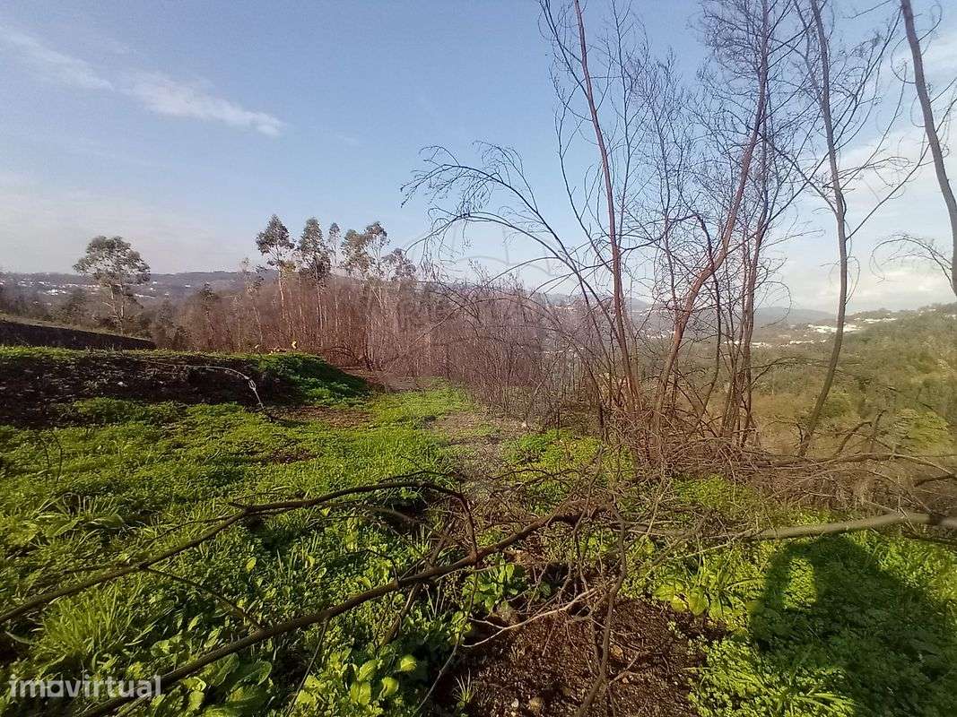 Terreno  para venda - Grande imagem: 2/11