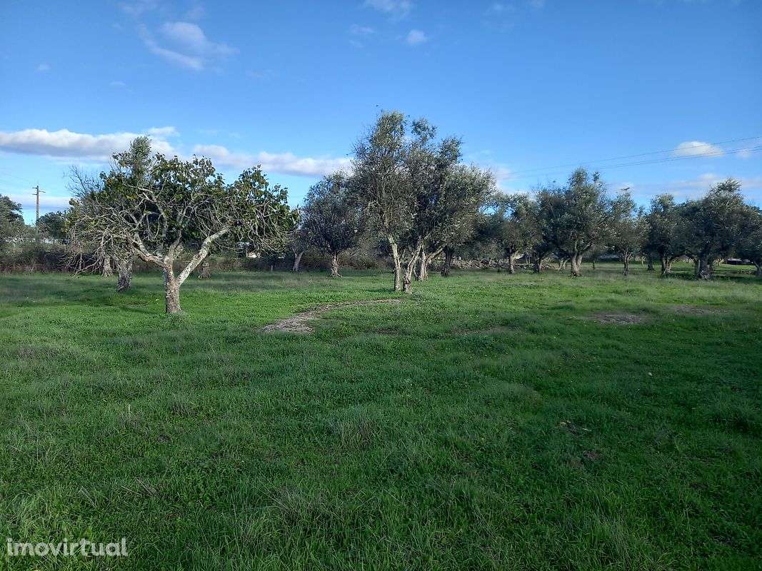 Terreno  para venda - Grande imagem: 3/3