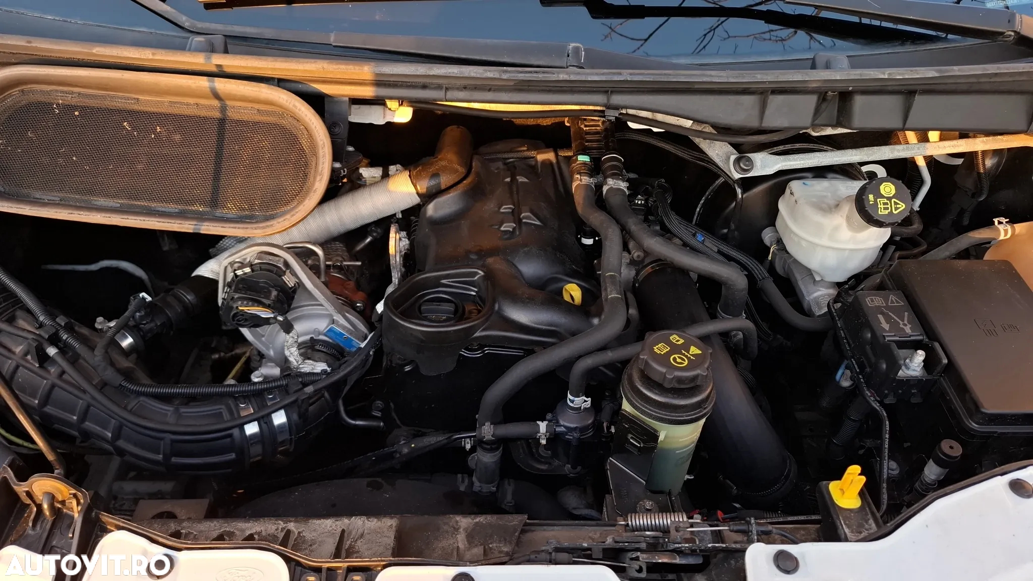 Ford Transit - 17