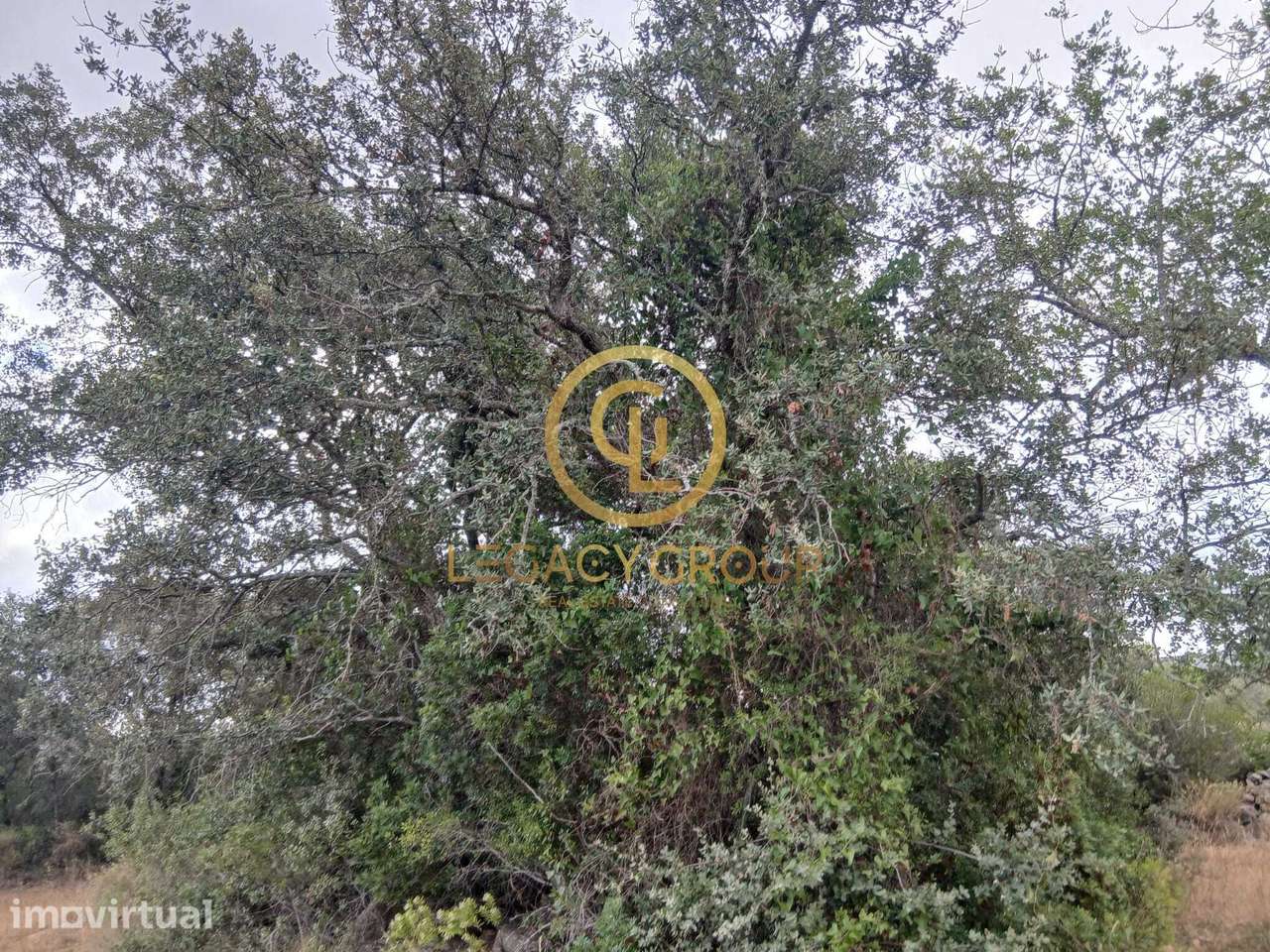 Apresentamos este terreno Rustico em Peral, Estoi, Faro - Grande imagem: 5/35