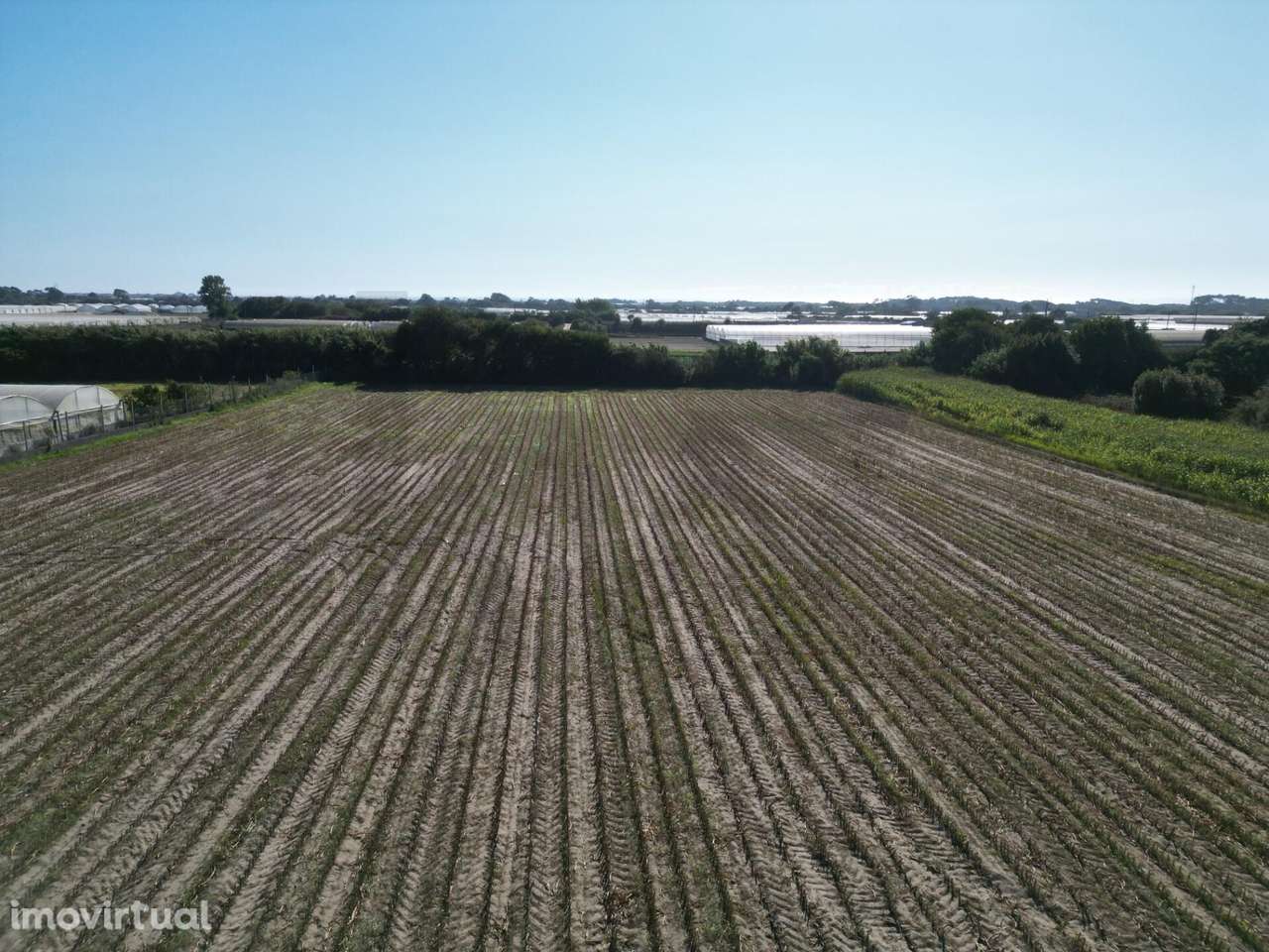 Terreno Rústico com 2,5 Hectares | Zona do Rio Alto – Estela, Póvoa de - Grande imagem: 2/24