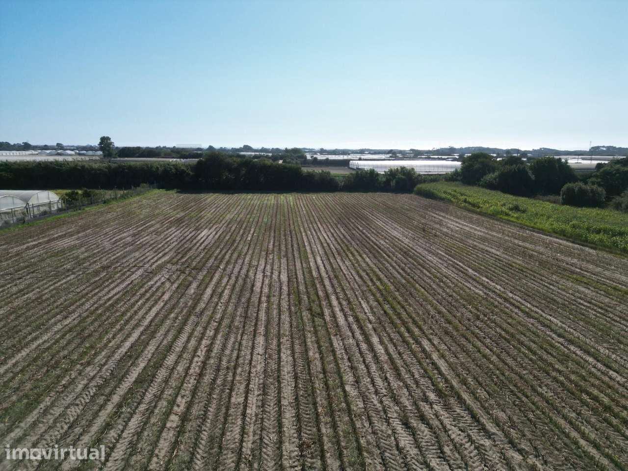 Terreno Rústico com 2,5 Hectares | Zona do Rio Alto – Estela, Póvoa de - Grande imagem: 2/24