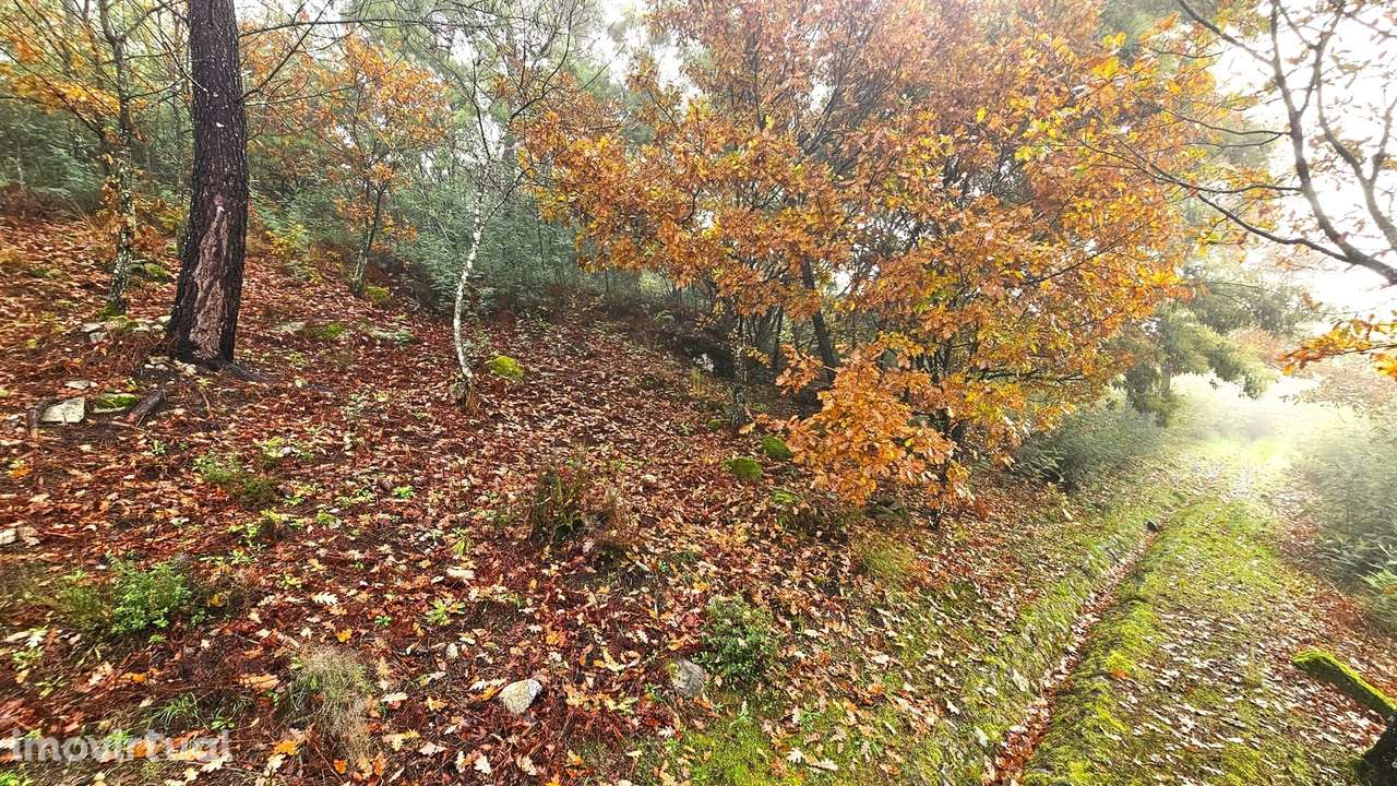 Terreno Para Construção  Venda em Bodiosa,Viseu - Grande imagem: 2/4