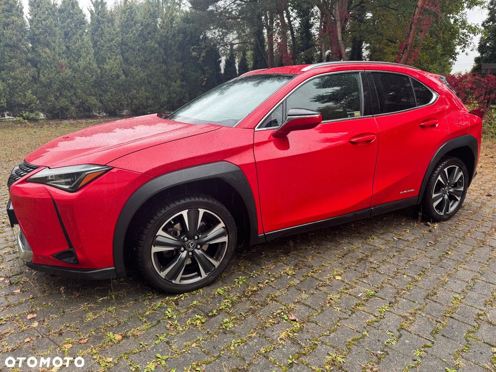 Lexus UX 250h GPF Business Edition 2WD - 28