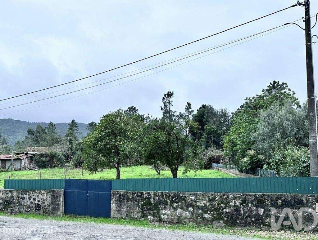 Terreno Agrícola em Barroselas e Carvoeiro - Grande imagem: 2/3