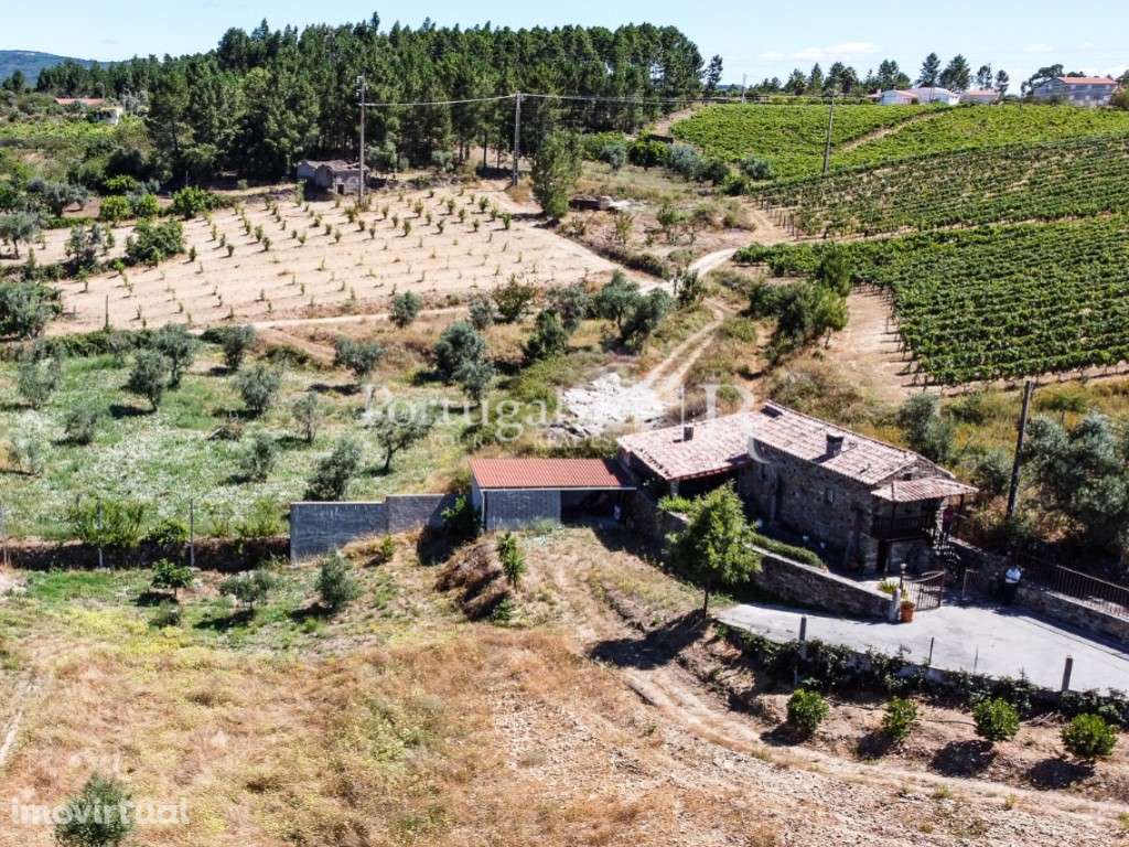 Quintinha rural com 16.000m2 com casa em xisto - Grande imagem: 2/60