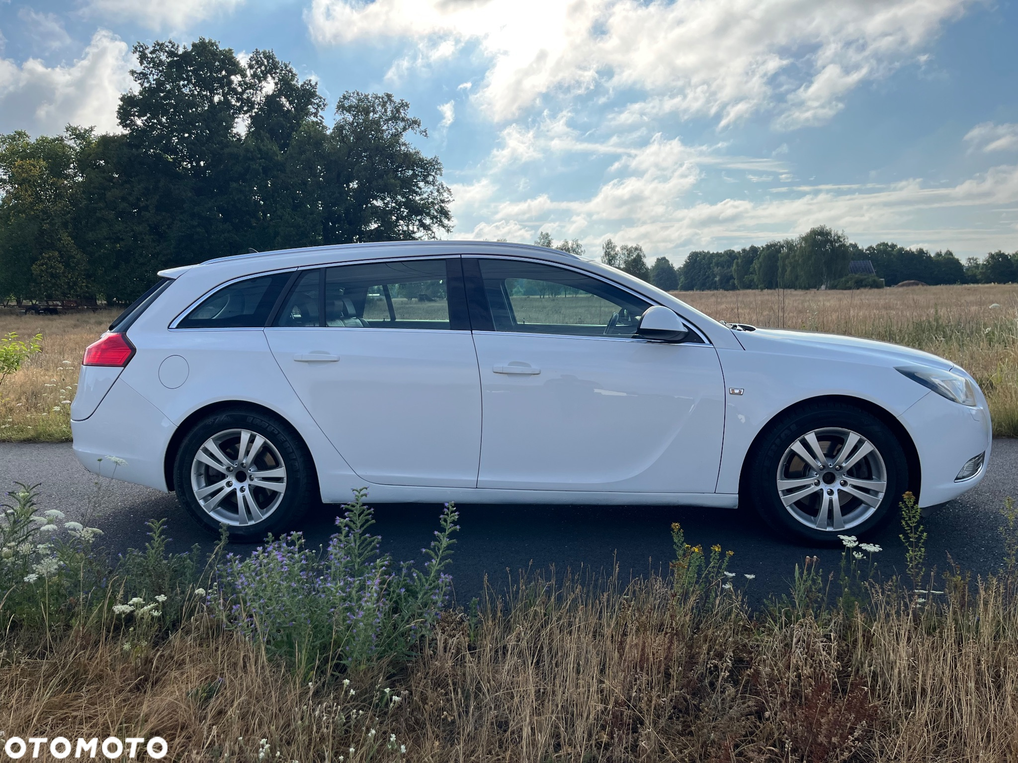 Opel Insignia 2.0 CDTI - 3