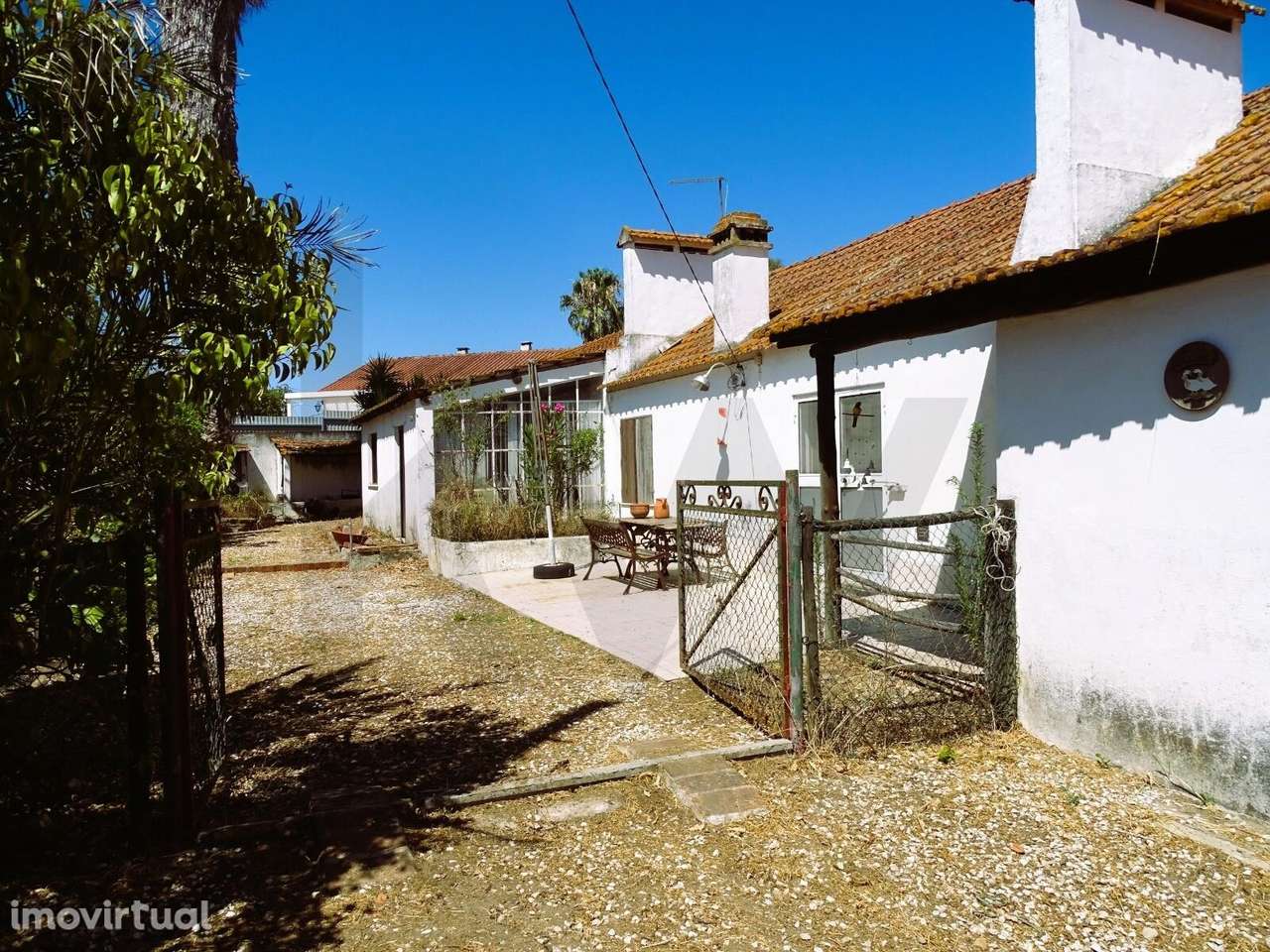 Quinta T2 com 4.05 hectares - Grande imagem: 4/45