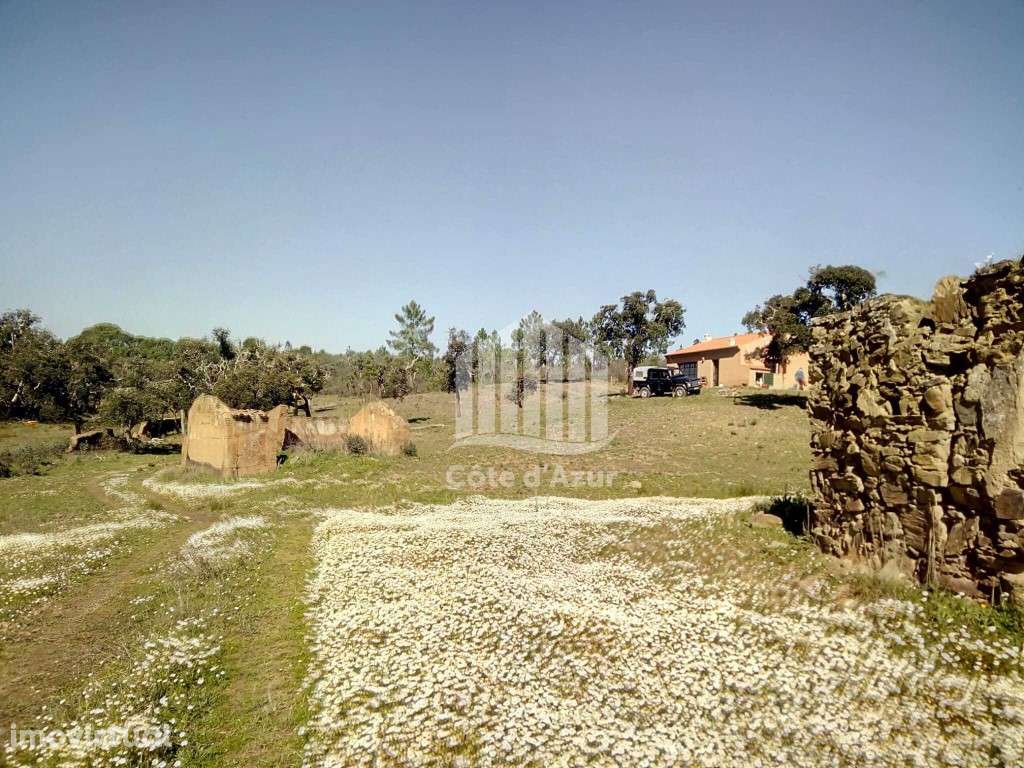 Propriedade no Alentejo - Grande imagem: 2/16