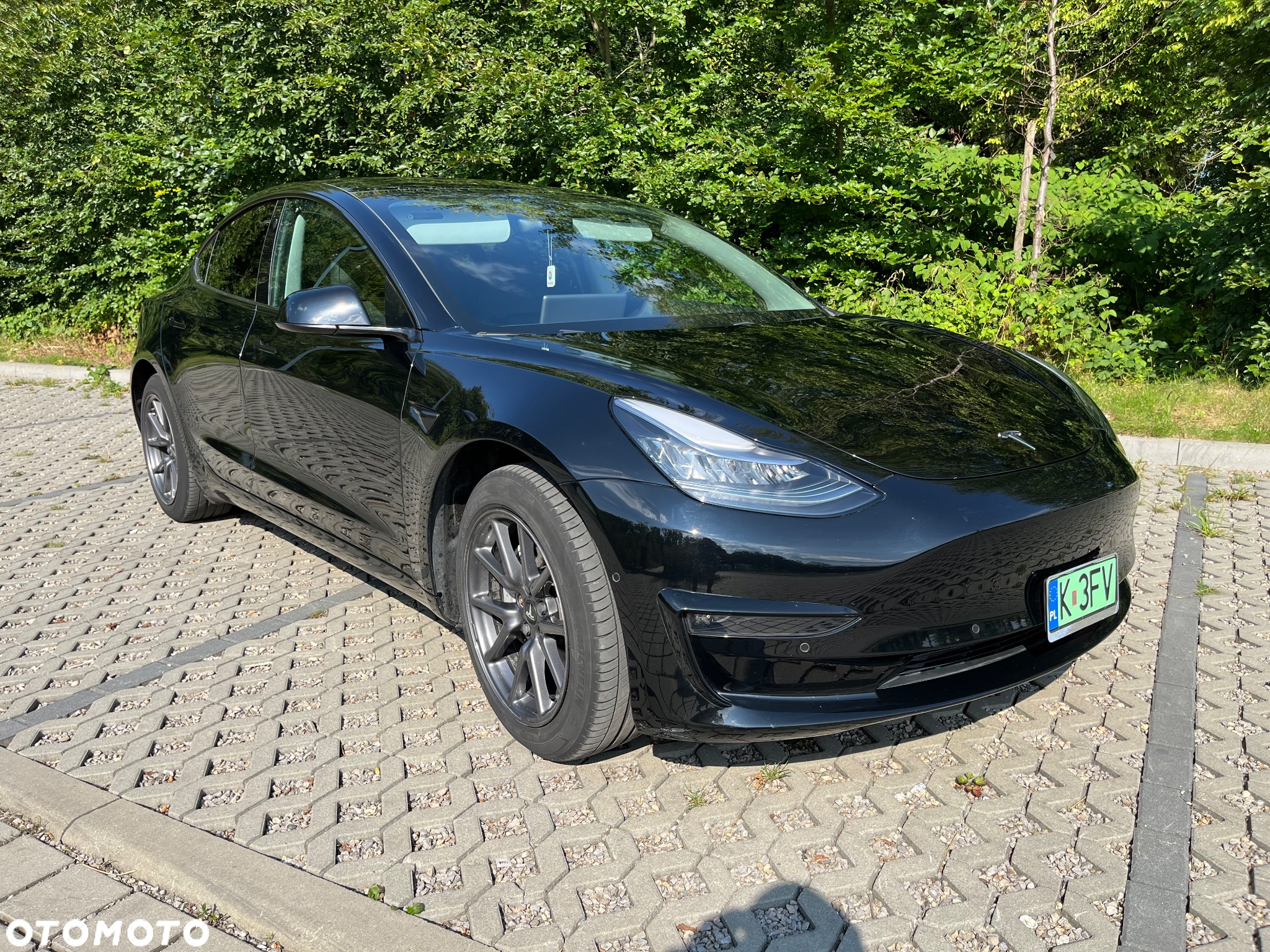 Tesla Model 3 Standard Reichweite Plus Hinterradantrieb - 7