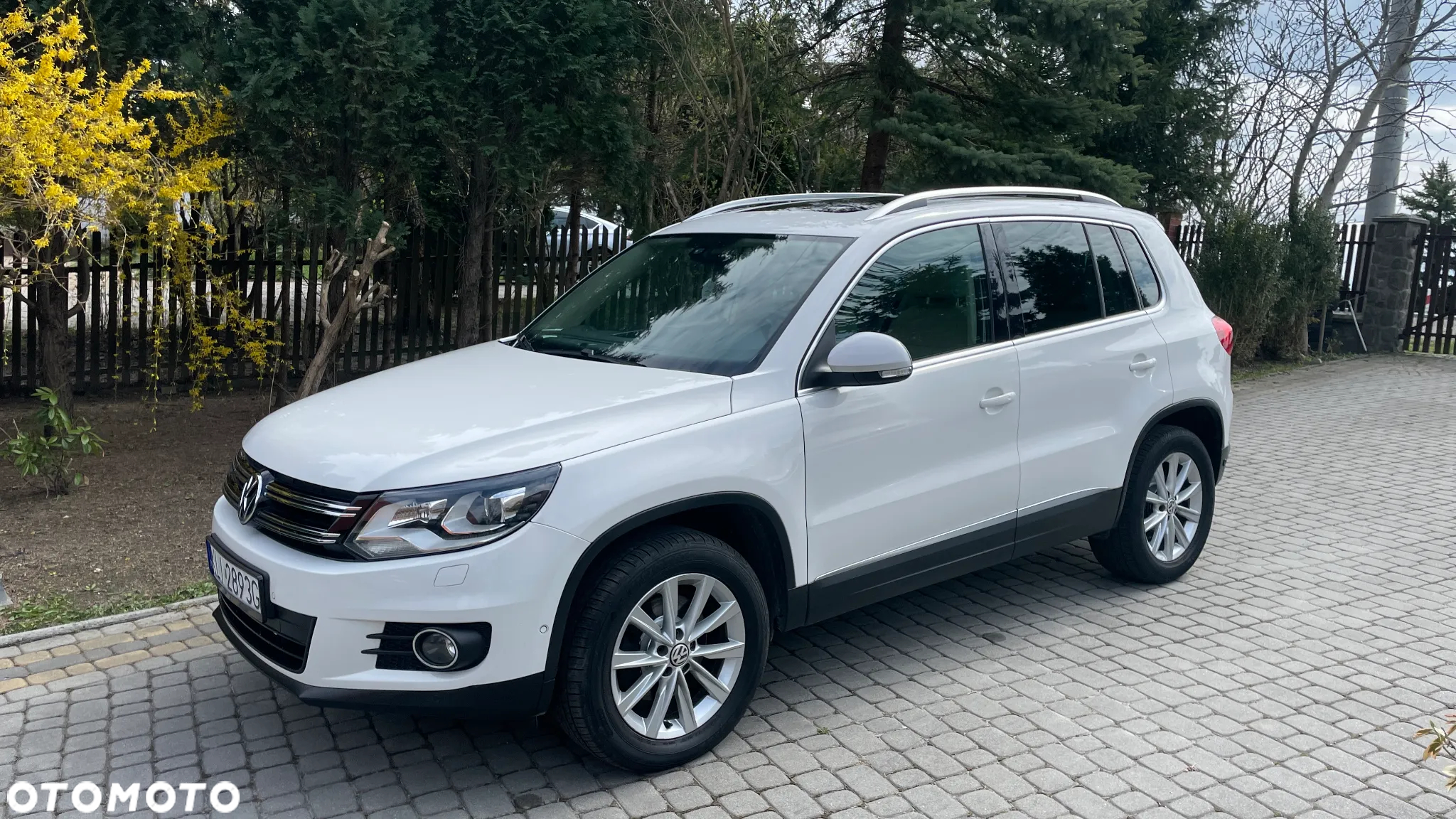 Volkswagen Tiguan 2.0 TDI 4Mot Sport&Style - 3