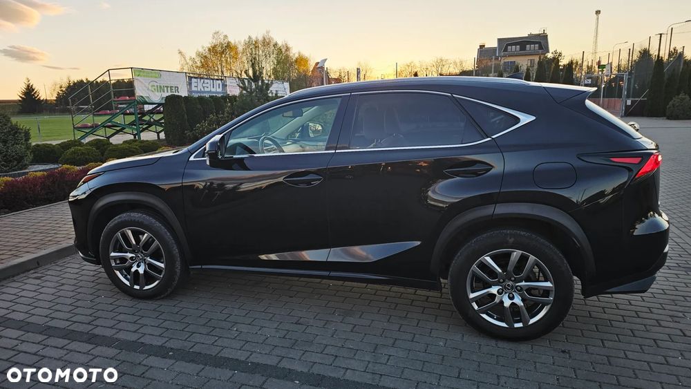 Lexus NX 300 Comfort AWD - 14