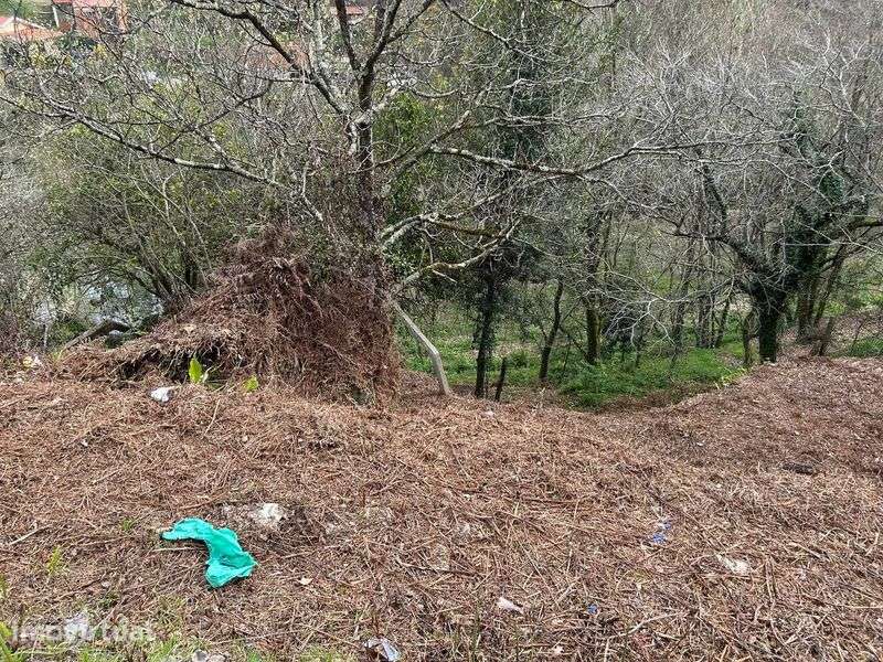 Venda de Terreno a 05min do centro de OAz (Escudeira/Cidacos) - Grande imagem: 2/4