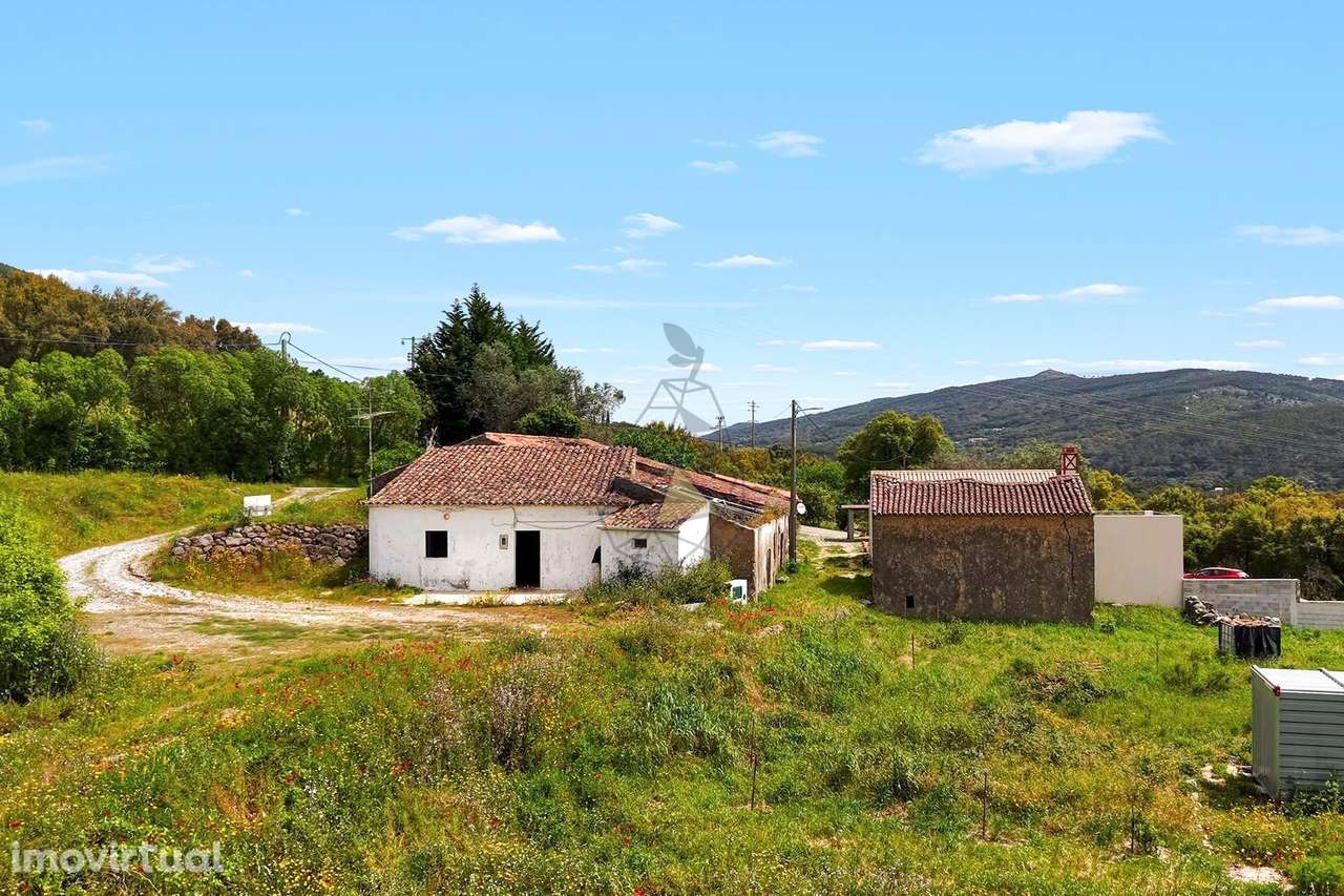 Quinta com casa antiga com vista mar em Monchique - Grande imagem: 4/31