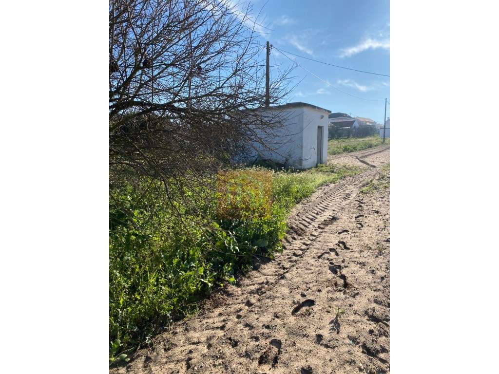 Terreno com 6.200 m2 em São Francisco - Grande imagem: 4/14