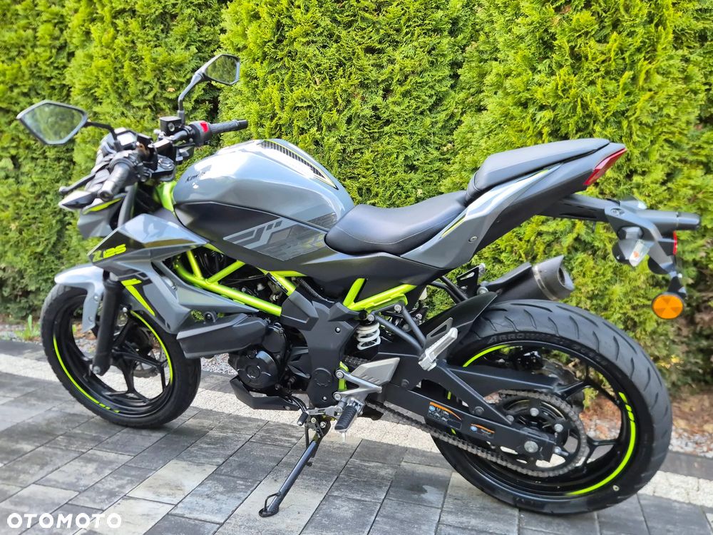 Kawasaki Z - 6