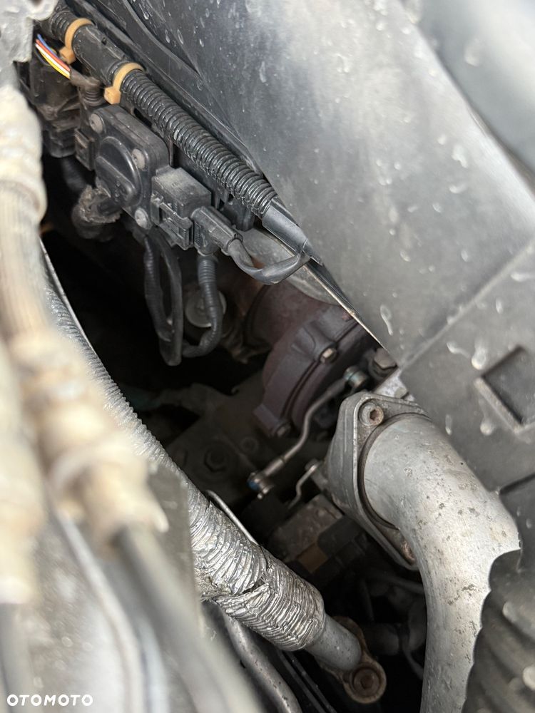 BMW Seria 5 525d - 19