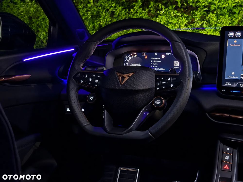 Cupra Terramar - 13