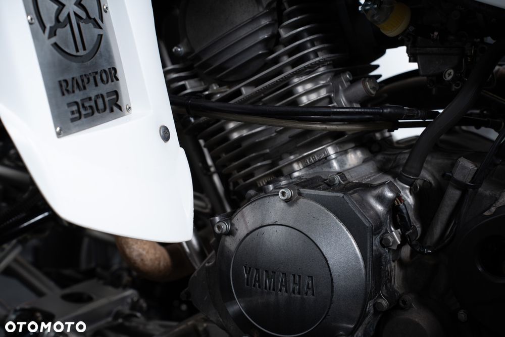 Yamaha Raptor - 8