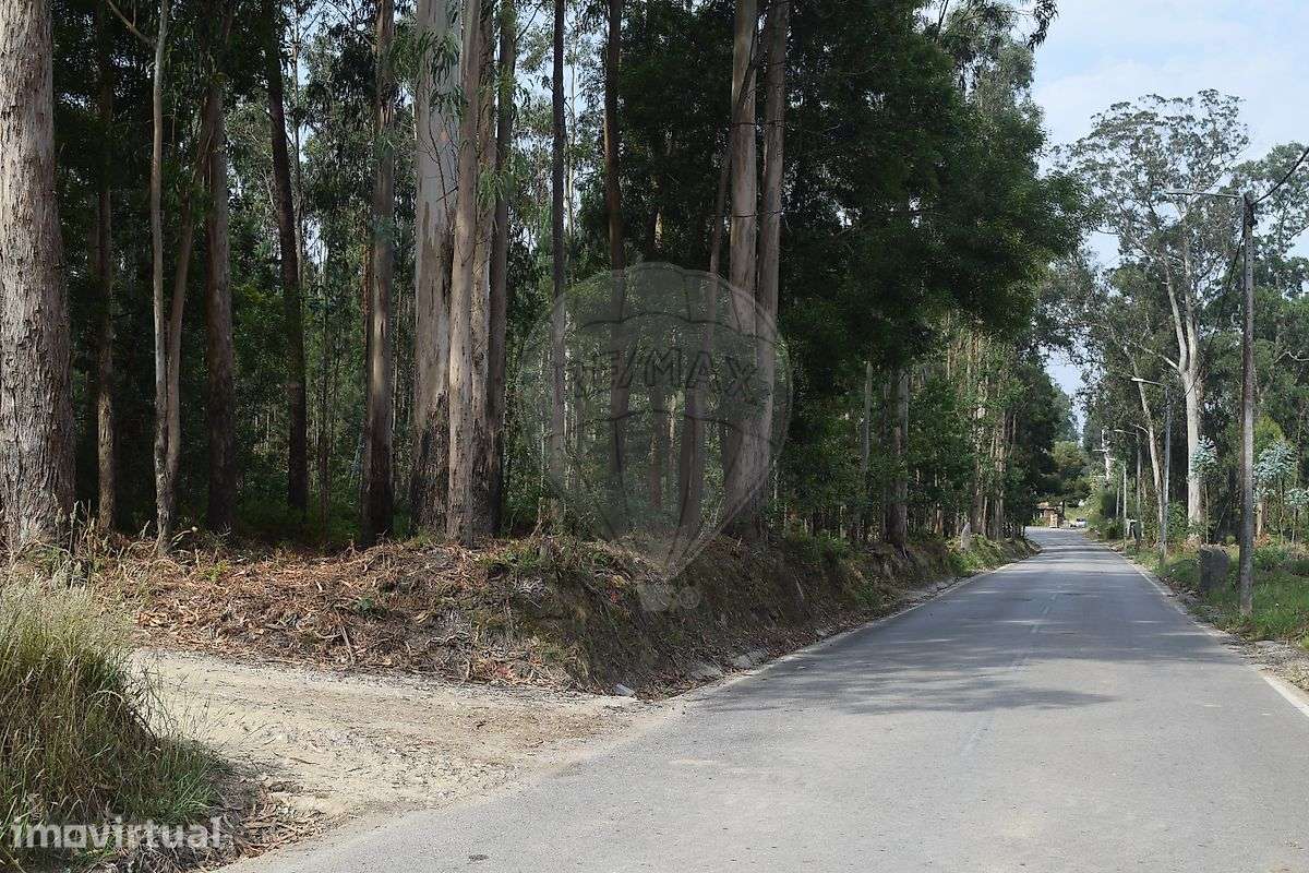 Terreno  para venda - Grande imagem: 2/6