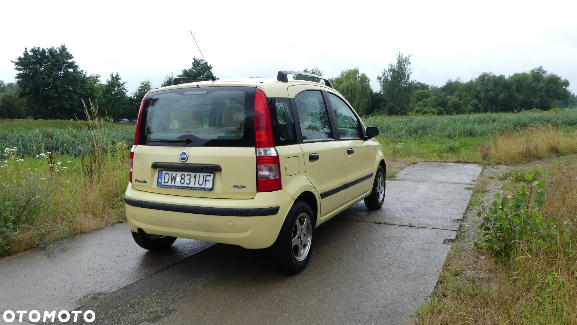 Fiat Panda 1.2 Dynamic - 3