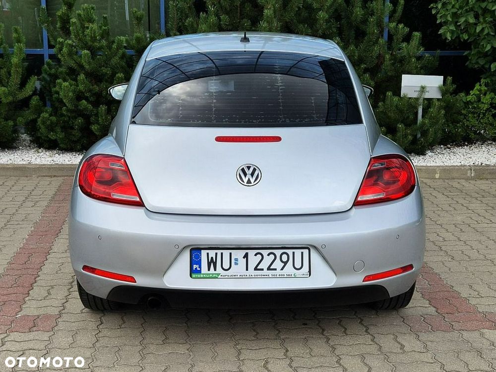 Volkswagen Beetle - 14