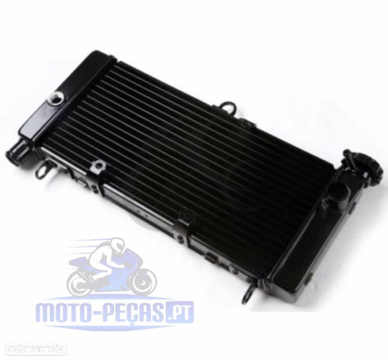Radiador Honda Hornet 600 ano 1998 ate 2005 CB600 HORNET - 1