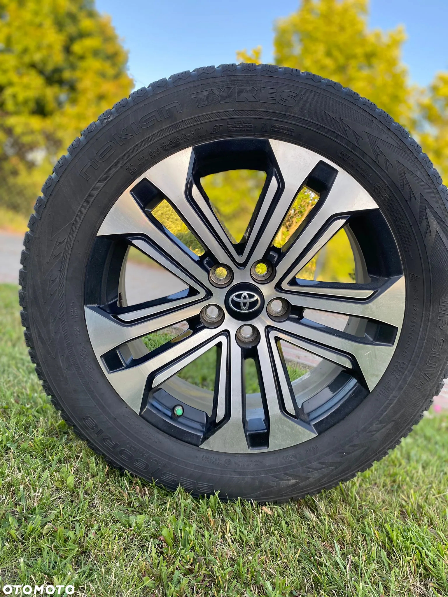 Toyota RAV4 2.5 Hybrid Active 4x2 - 12