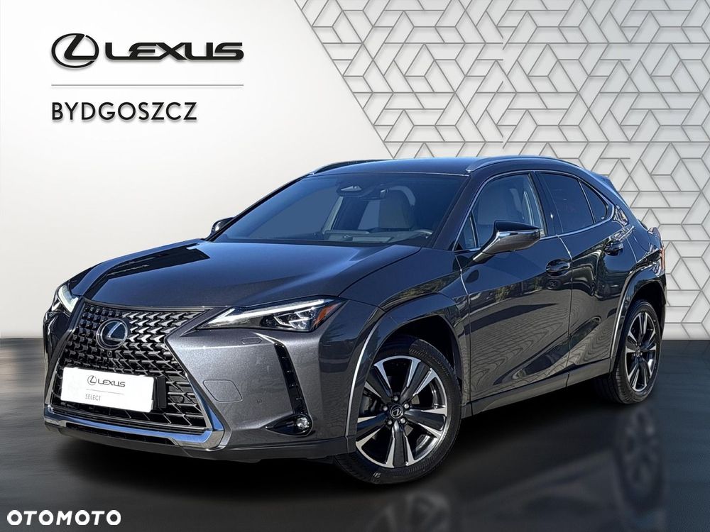 Lexus UX 300h Omotenashi