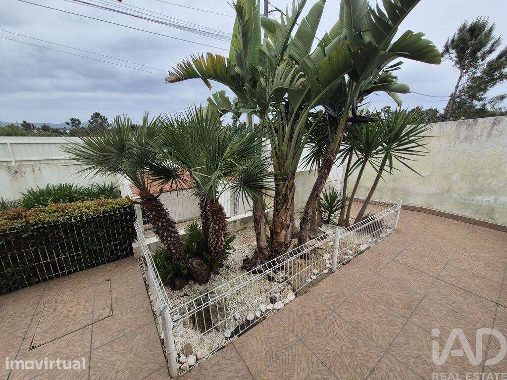 Moradia isolada T3 em Fernão Ferro - Grande imagem: 2/38